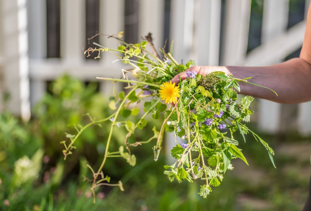 Weeds in Flower Bed