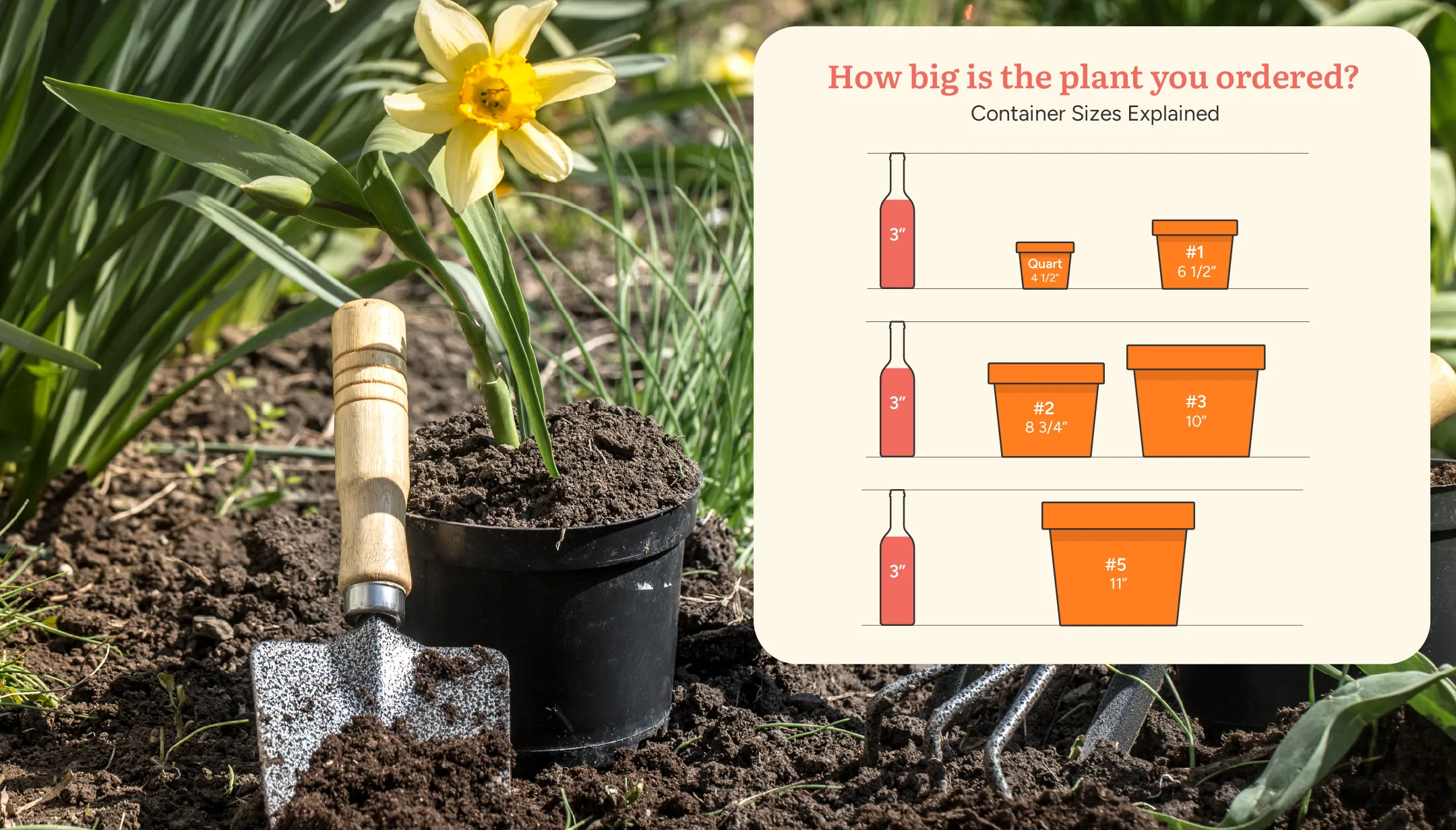 pot_sizes_plant_by_number