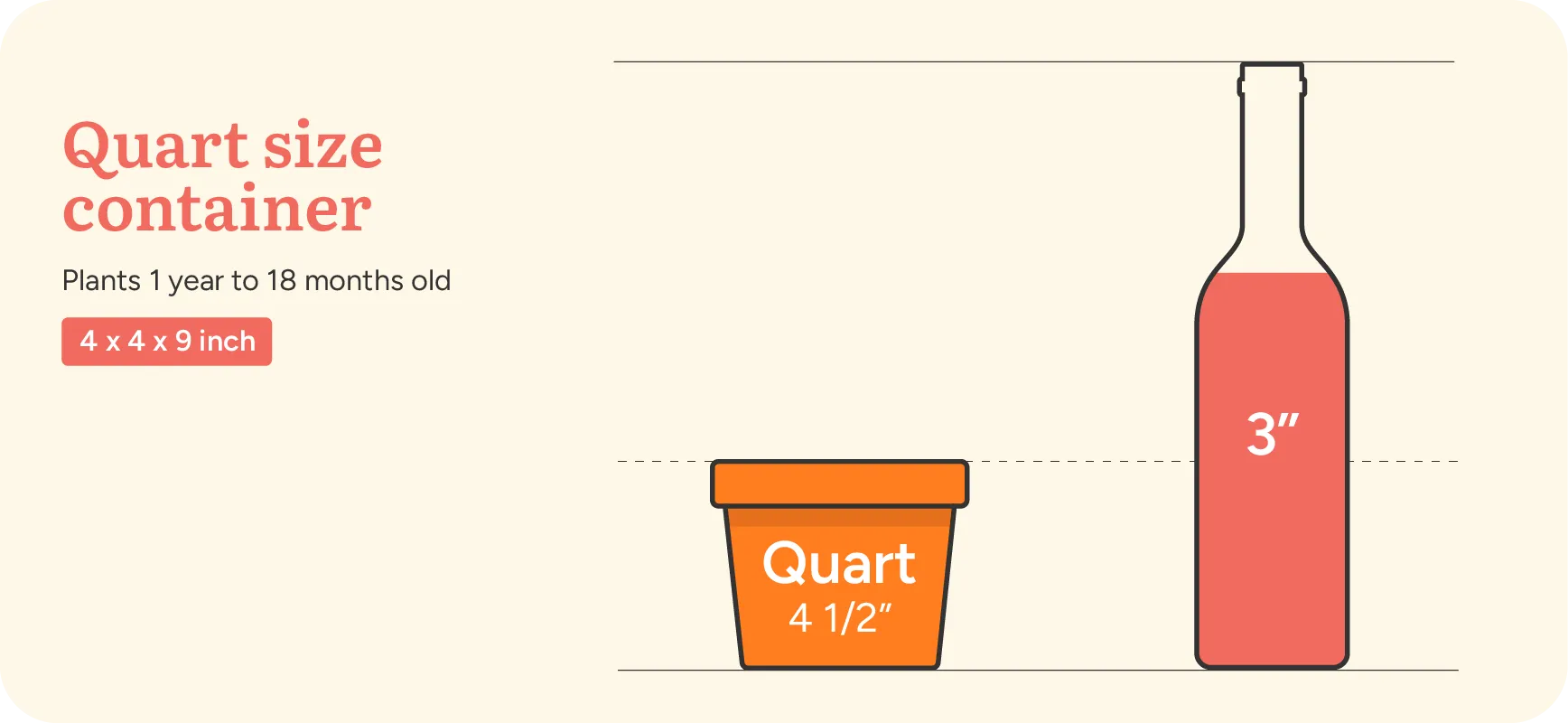 pot_size_quart_container_plant_by_number